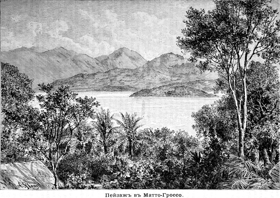 265 Пейзаж в Матто-Гроссо